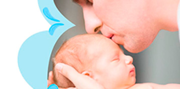 Reproducción Masculina